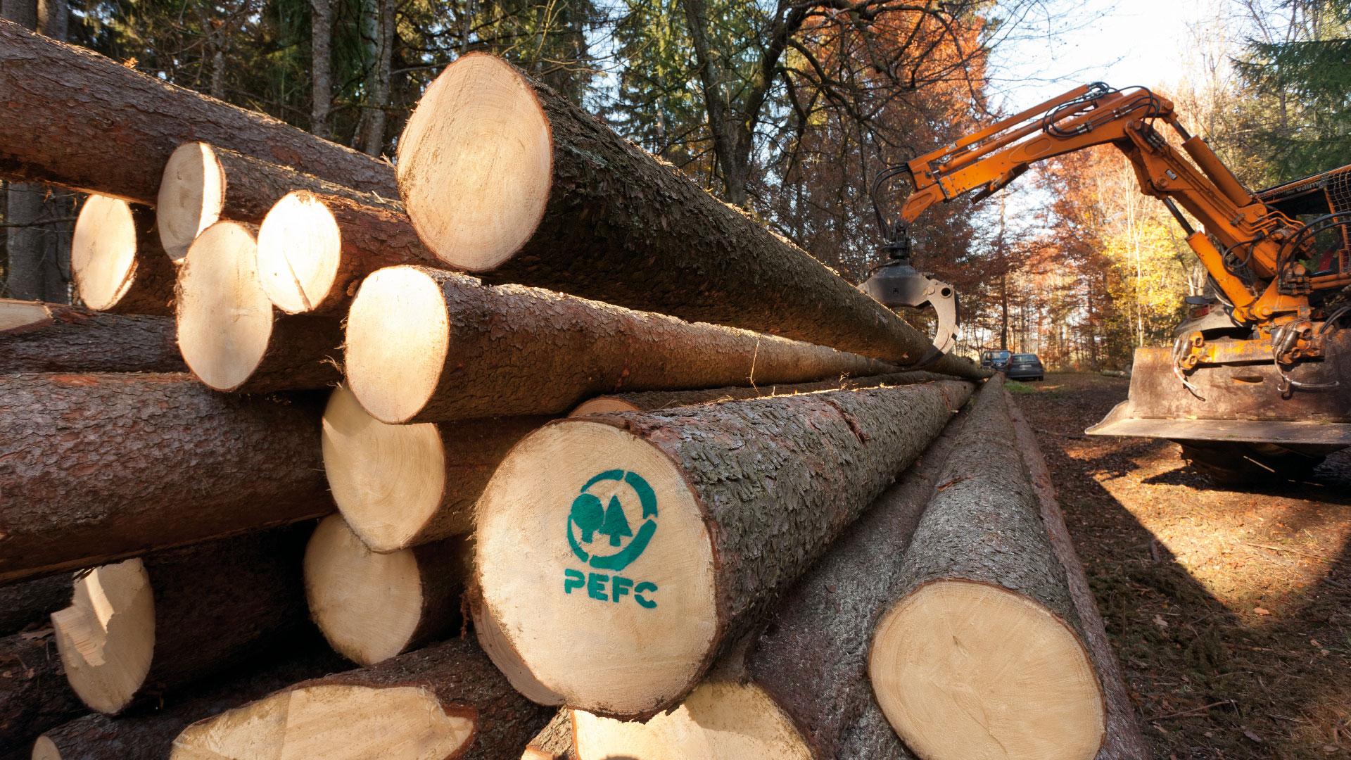 [Translate to Français:] Holz ist ein nachhaltiger Rohstoff